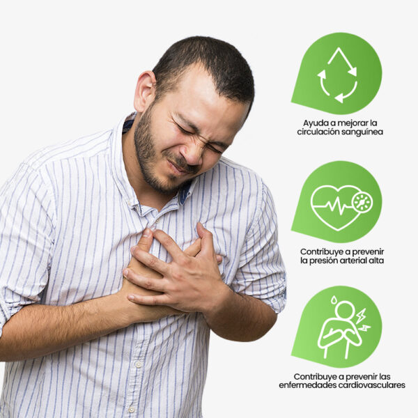 BEBIDA DE HOJAS DE OLIVO Santa Natura Surco Gamarra